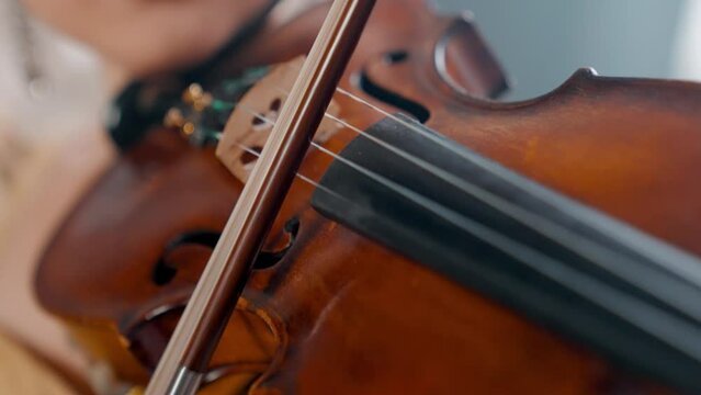 A Young Girl And Man Plays The Violin In A Beautiful Retro Room With Flowers And A Piano. 