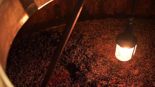 Pigeage raisin fermentation vin