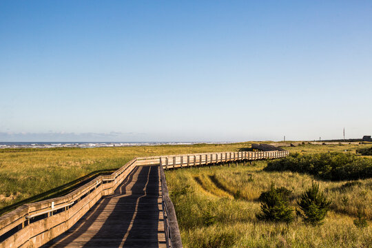 An empty wooden boardwalk leading to the beach across grassy dunes