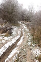 Zimowa droga © Ireneusz