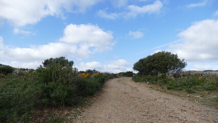 Paesaggio di Sardegna