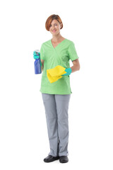 Professional cleaner woman