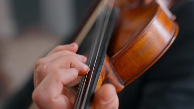 A Young Girl And Man Plays The Violin In A Beautiful Retro Room With Flowers And A Piano.
