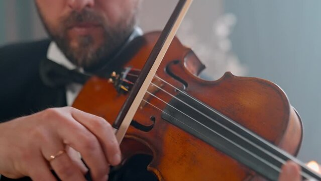 A Young Girl And Man Plays The Violin In A Beautiful Retro Room With Flowers And A Piano.