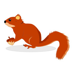 squirrel vector animal