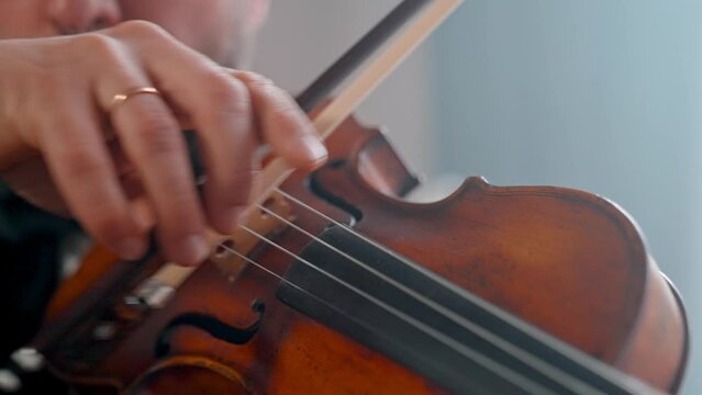 A Young Girl And Man Plays The Violin In A Beautiful Retro Room With Flowers And A Piano.