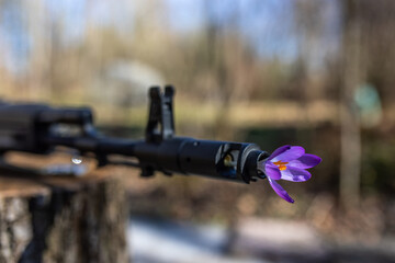 Blume steckt in der Mündung einer Waffe