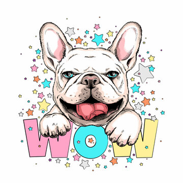 Cute french bulldog head on a background of stars. WOW illustration. Image for printing on any surface	