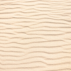 Fototapeta na wymiar sand dunes background sand waves square