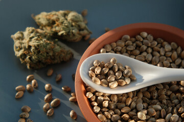 A bunch of cannabis seeds lie on a spoon and plate with several dried buds