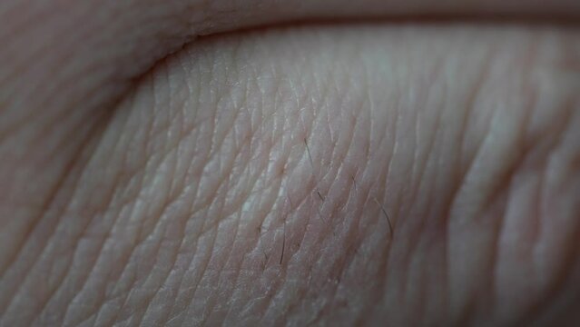 Macro shot of human skin. Healthy people body, dermatology concept.