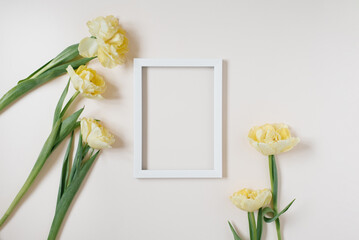 Spring composition. yellow flowers tulips, photo frame on light background. Flat lay, top view, copy space