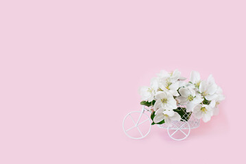 A bicycle toy with white flowers on a pink background. The concept of celebration, banner. Copy space. The beginning of spring and the holiday