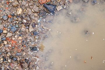 Rain puddle framed by stones. Still waters don't always have to be deep, for nature even rain...