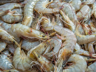 Raw shrimps in cool keep