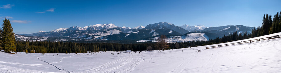 Panorama na Tatry - okolice Witowa - Koszarzyska - polana © Ola i Eryk