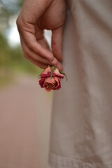 Young girl holds a rose near her lips, wedding concept.