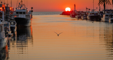 Fototapeta premium Coucher de soleil dans le port du Grau du Roi, Camargue, Sud de la France.