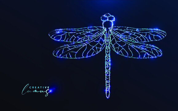 Starry dragonfly. Stylized insect on blue background. Neon starlight in the space, Futuristic model silhouette with stars, glows and lines.