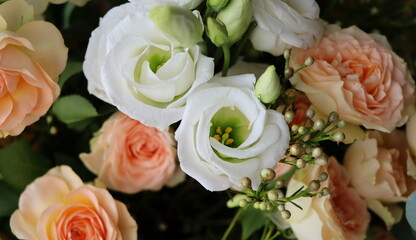 Summer blossoming delicate roses , flowers festive background, pastel and soft bouquet floral card