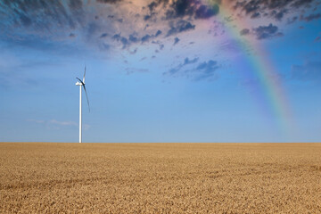 wind turbine on wheat field and rainbow landscape