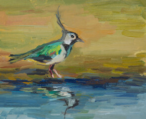 Wagtail bird oil painting. Illustration of wildlife. Beautiful original painting. The layout of the design of postcards and notebooks. A stylized bird walks along the water. Handmade, contemporary art