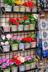 Fototapeta na wymiar colorful little pots with beautiful flowers. Flower sale on the street in Seville, Spain