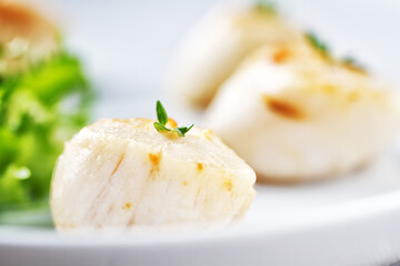 Seared Scallops with Side Salad on a plate
