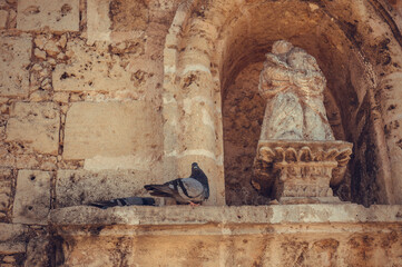 Ancient wall, doves. Beautiful card. Copy space. Wide angle. High quality photo