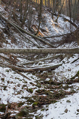 Fallen trees over a slender river in a forest with snow.