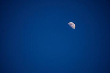 The moon rising in a darkening sky.