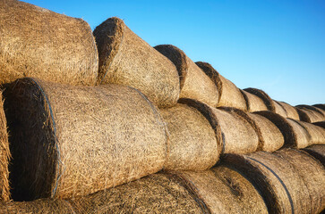 Pile of round hay bales at sunset.