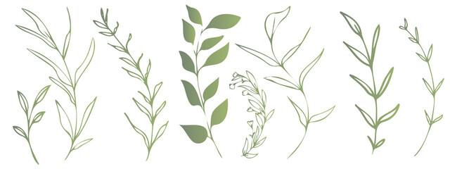 Naklejka na ściany i meble Vector plants and grasses. Minimalist style in green colors of hand drawn plants. With leaves and organic shapes. For your own design.