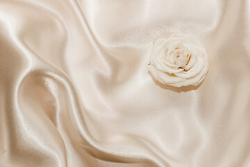 White rose on a silk beige background, space for text.