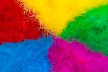 Multicolored bright, colorful feathers as a bright festive fun background with space for text for design