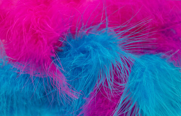 Multicolored bright, colorful feathers as a bright festive fun background with space for text for design