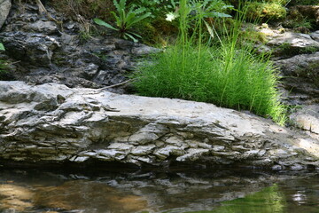 Stone next to the green grass