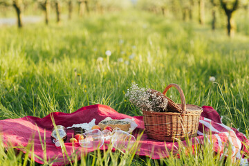 A red blanket, wine, cheesecake and a picnic bag with flowers in blooming spring garden. Picnic, spring and vacation. 