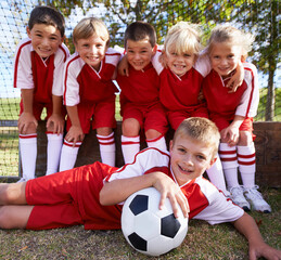 The team photo. Portrait of a childrens soccer team posing for the team photo.