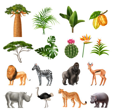 African Nature Realistic Icons