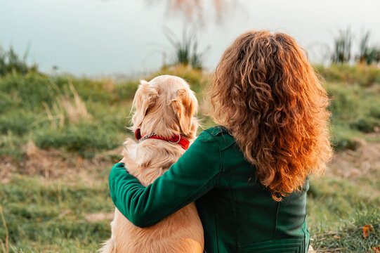 Golden retriever dog with a curly woman walking outdoors on sunny day. Training the dog in the park. love and care for the pet. Back view