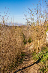 Landscape from Romeo's castle in Montecchio Maggiore, Vicenza - Italy