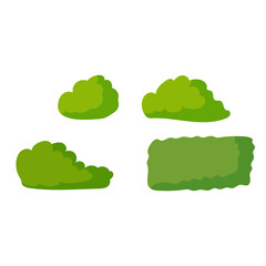 Various trees and bushes. Landscaping. Elements of the park zone. Vector illustration isolated on white background