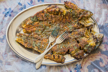 Grilled fish in Palangan village in Kurdistan region, Iran