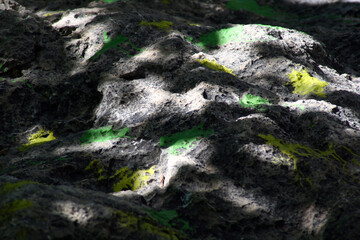 Light shade on colored stones