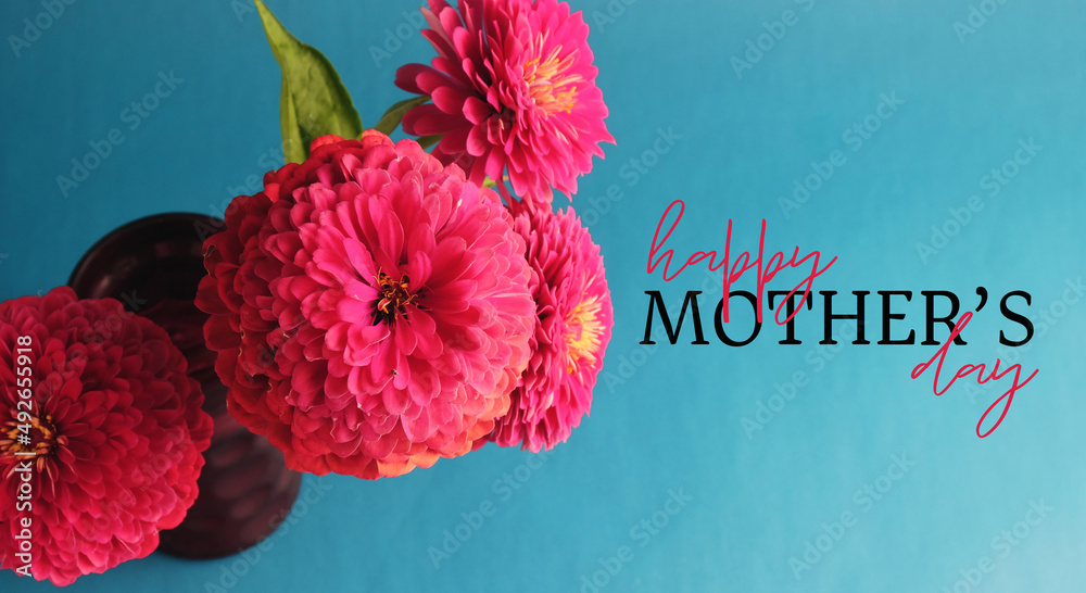 Poster Zinnia flower bouquet for Mothers day holiday greeting with blue background. - Posters
