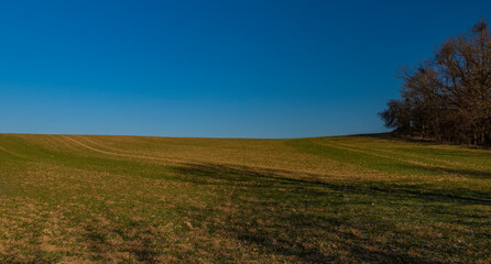 Green field and blue sky in winter sunny morning in Litovel area