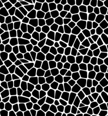 black and white seamless pattern with spider, wood design