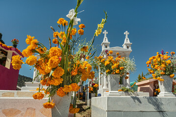 Marigold flowers to honor the deceased all over the tombs in Mexico