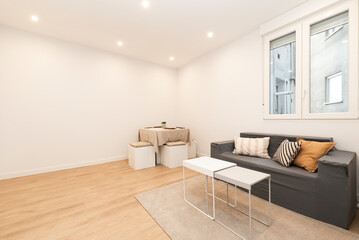 Living room with coffee tables and a gray sofa with cushions and a natural fiber rug on a wooden floor